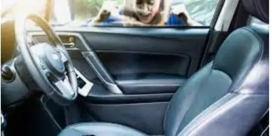 Locked Out Of Your Car?